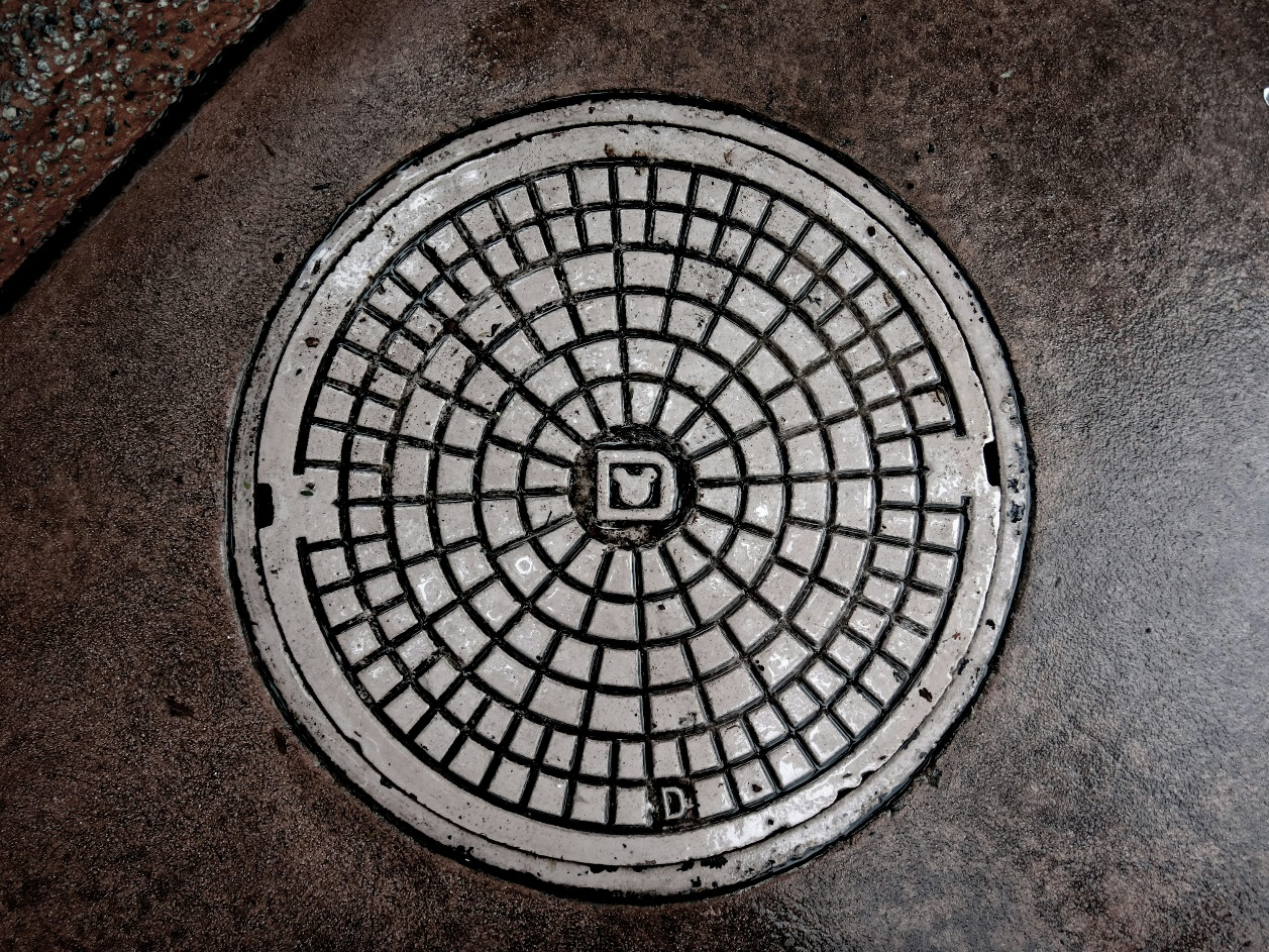 A sewer line cap