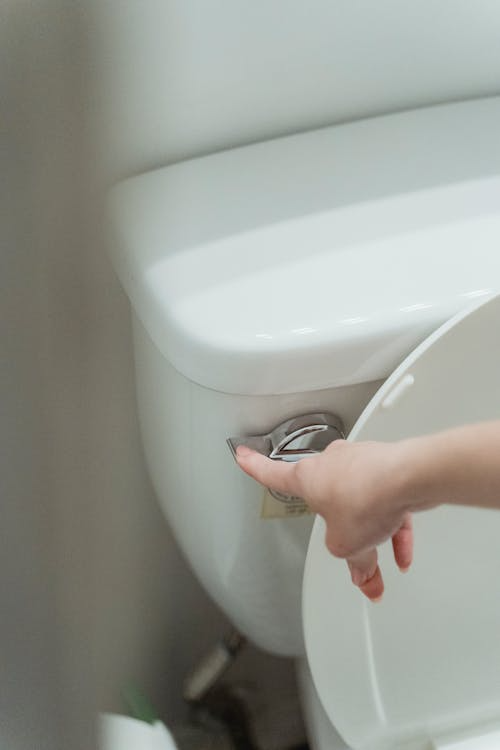 Hand pressing a toilet flush button.